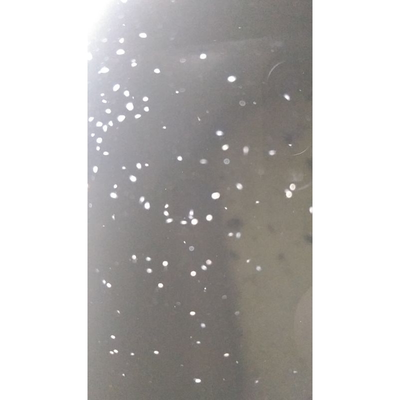 Mikroplankton makanan khusus larva lobster laut, larva udang, larva ikan dan kuda laut 1000 ml