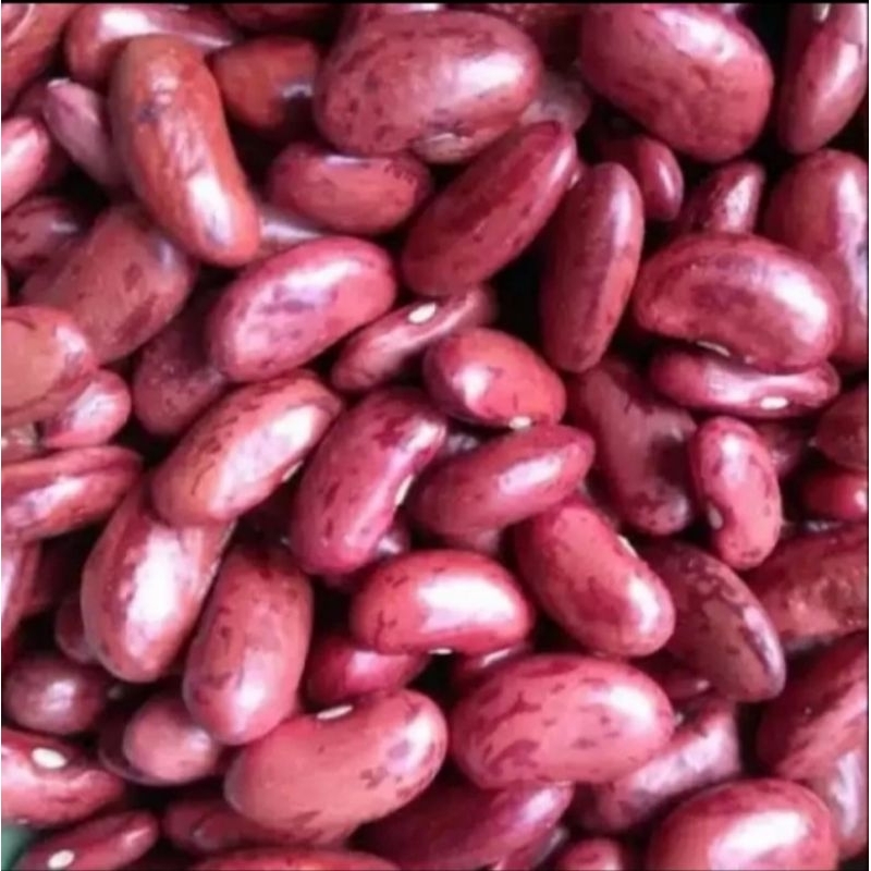 

Rajma - Red Kidney Bean - Kacang Merah ( sortir ) 500gr