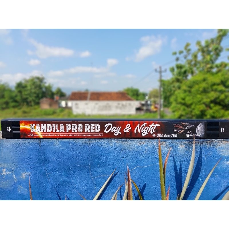 Promo Kandila Pro Red Day and Night P600 (52cm)
