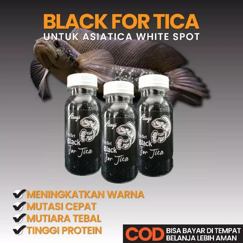 Pellet Asagi Black For Tica Pelet Limbata Pakan Ikan Channa Asiatica Predator Chana