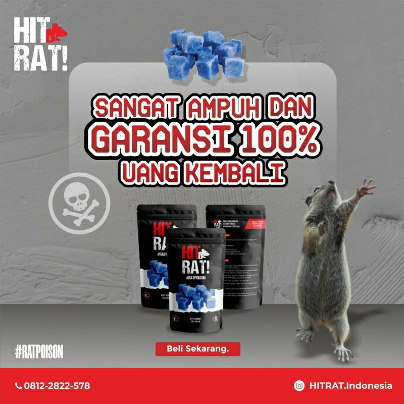 GROSIR HIT RAT 100 GRAM RACUN TIKUS AMPUH BASMI TIKUS HINGGA TUNTAS