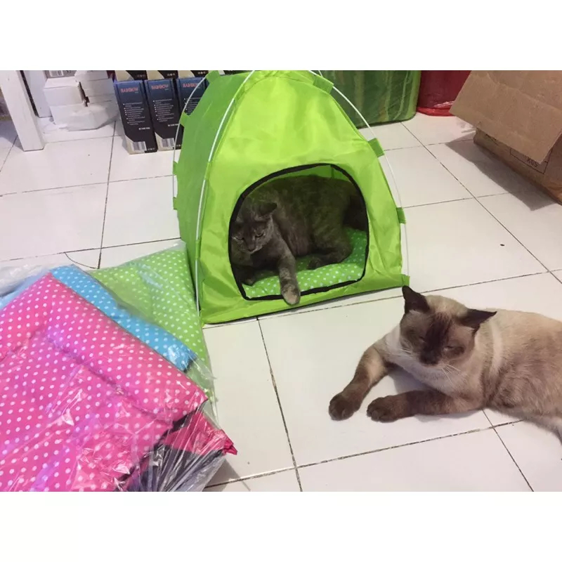 Tenda kucing murah free bantal tempat tidur kucing