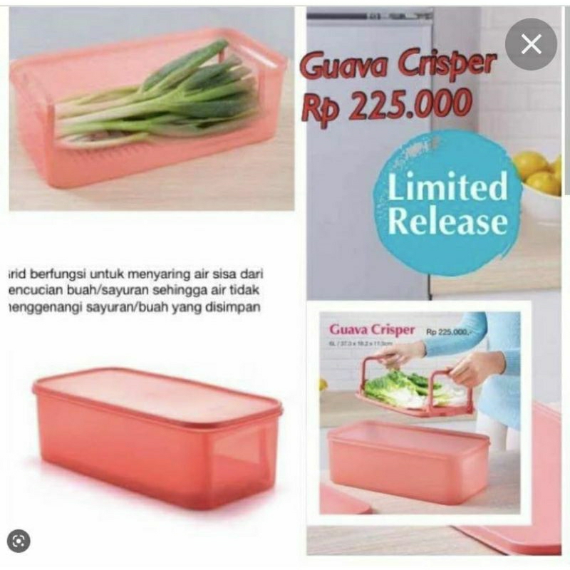Guava crisper 6L wadah tupperware