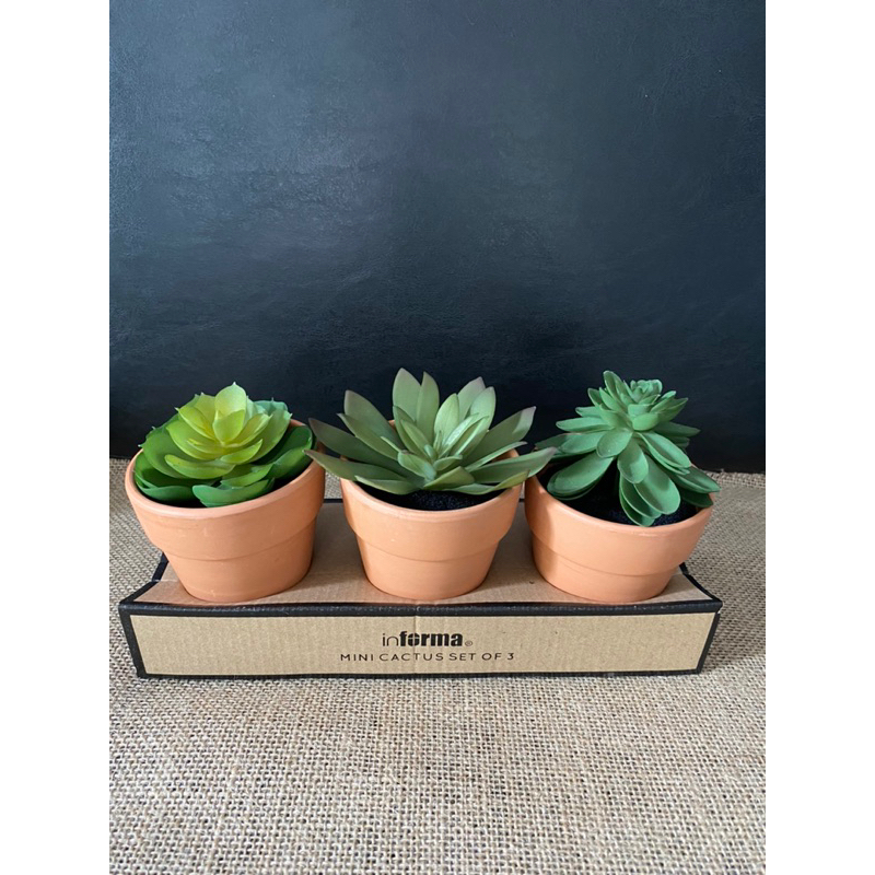 kaktus artificial 3 pc  satu set
