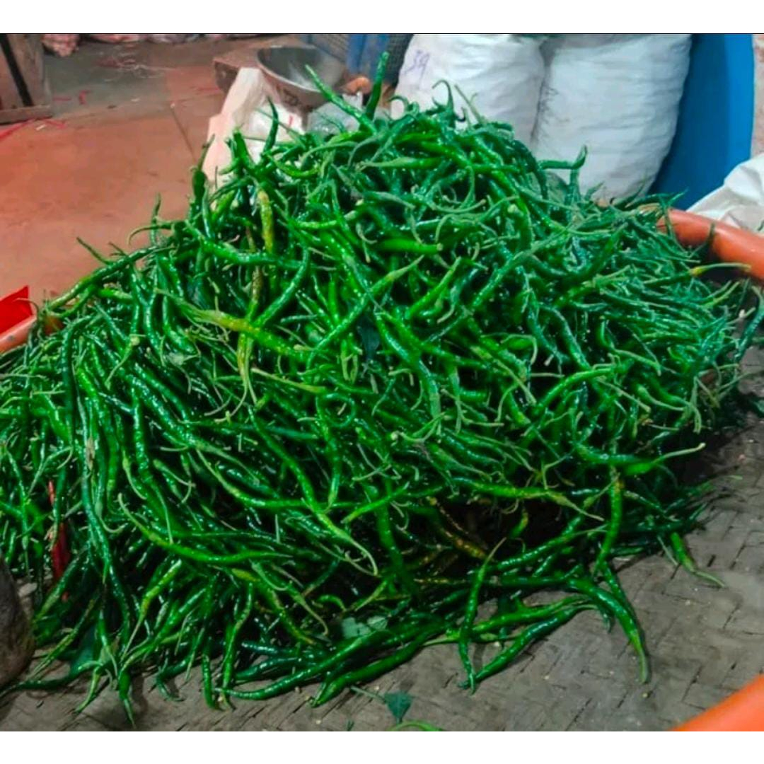 

Cabe Cabai Hijau Keriting 250 gr