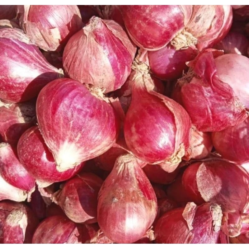 

Bawang Merah Probolinggo Tanggung Besar 1kg