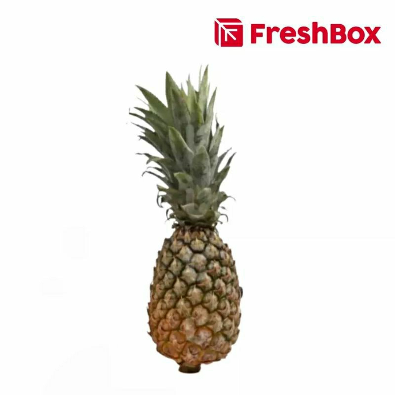 

NANAS PALEMBANG UK. SEDANG FRESH BOX - 1 PCS