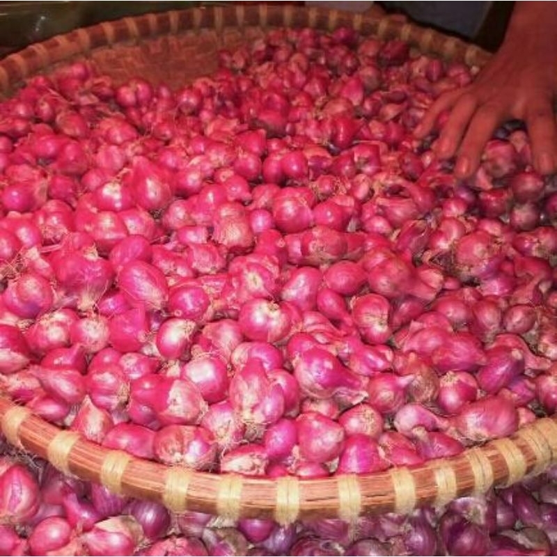 

Bawang merah brebes kualitas super berat 1kg