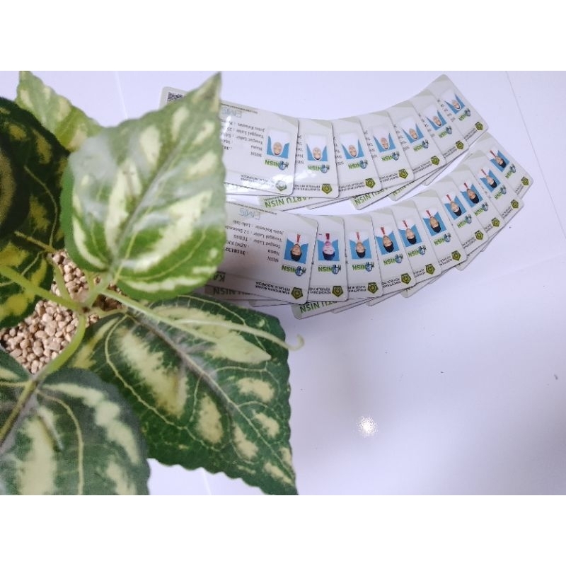 

JASA CETAK KARTU DAN ID CARD