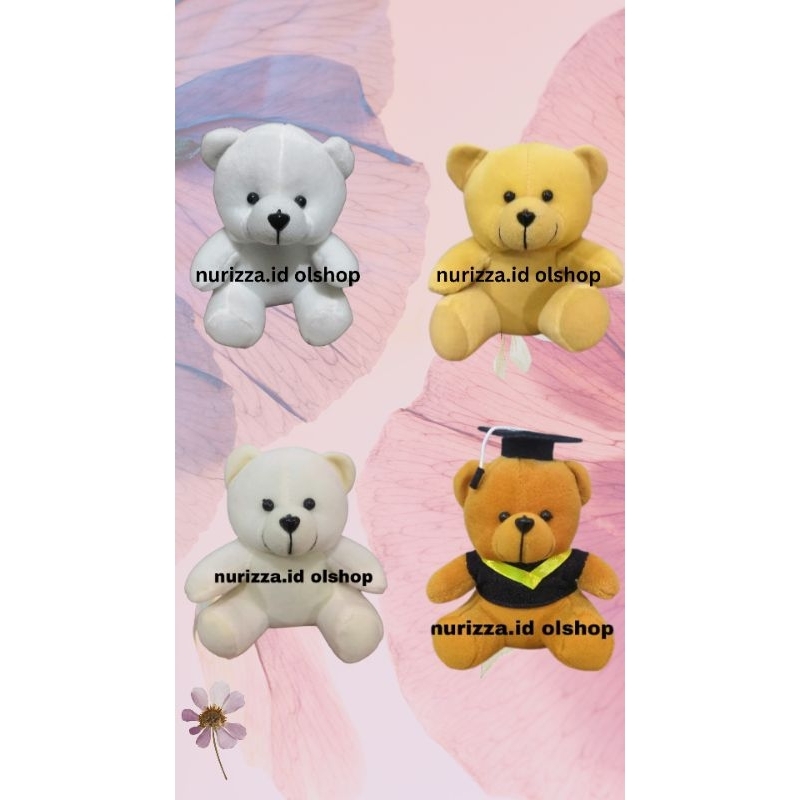 Bear Toga 15 cm / Bear bucket 15 cm / Boneka wisuda 15 cm