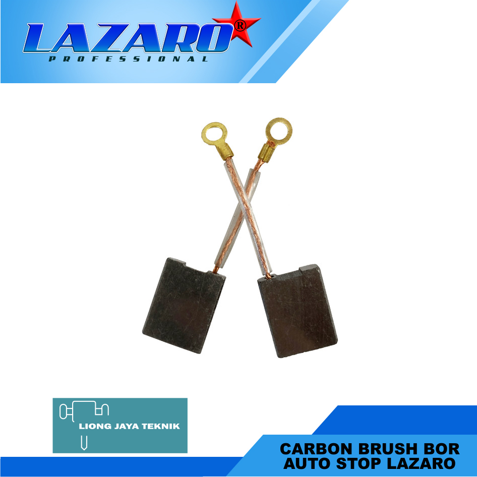 Carbon Brush Bor Magnet LAZARO