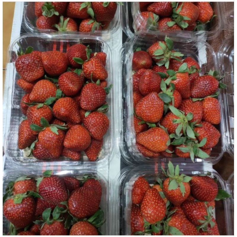 

Buah Strawberry Ciwidey