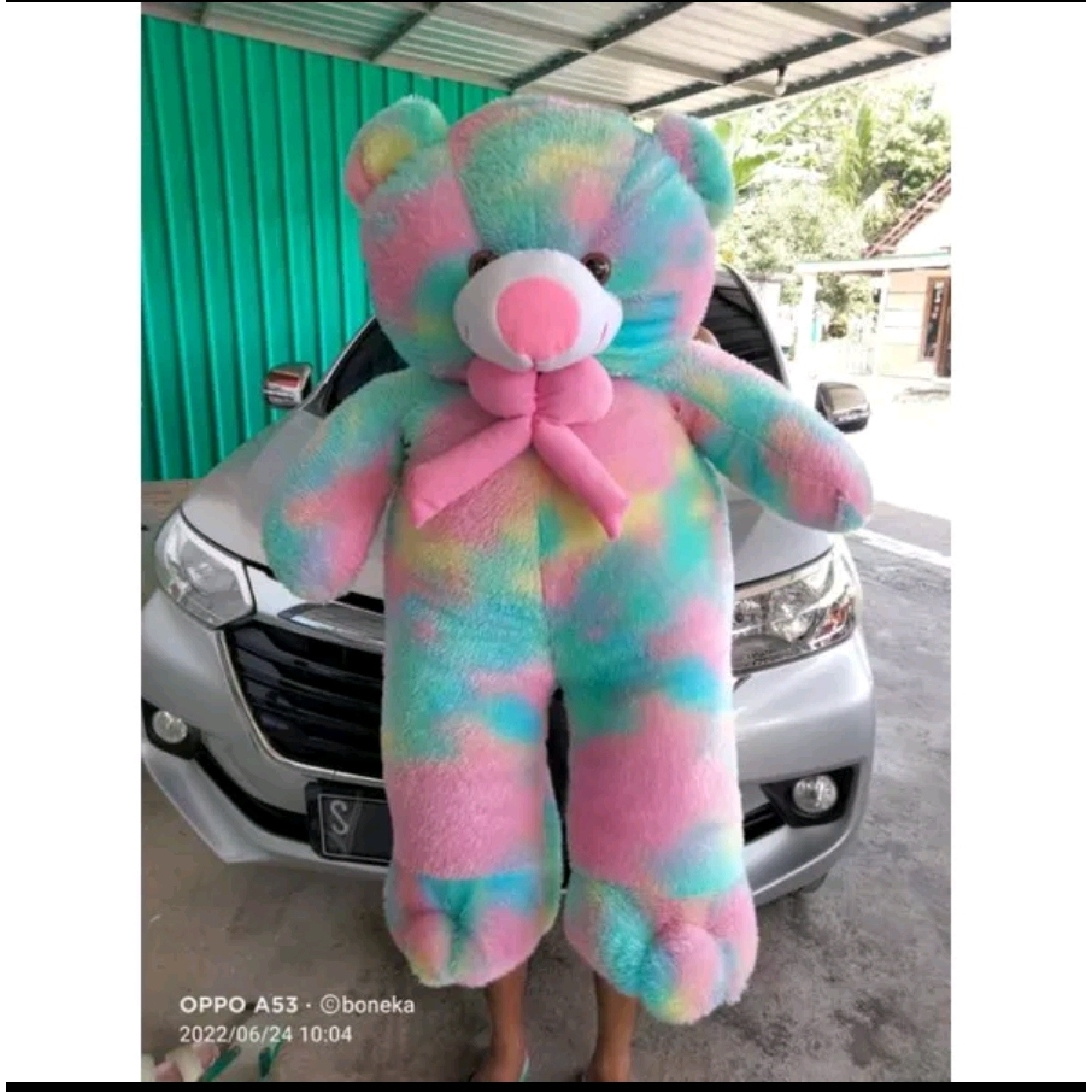 BONEKA TEDDY BEAR RAINBOW BONEKA BERUANG BAHAN HALUS KAIN RASFUR TIDAK RONTOK