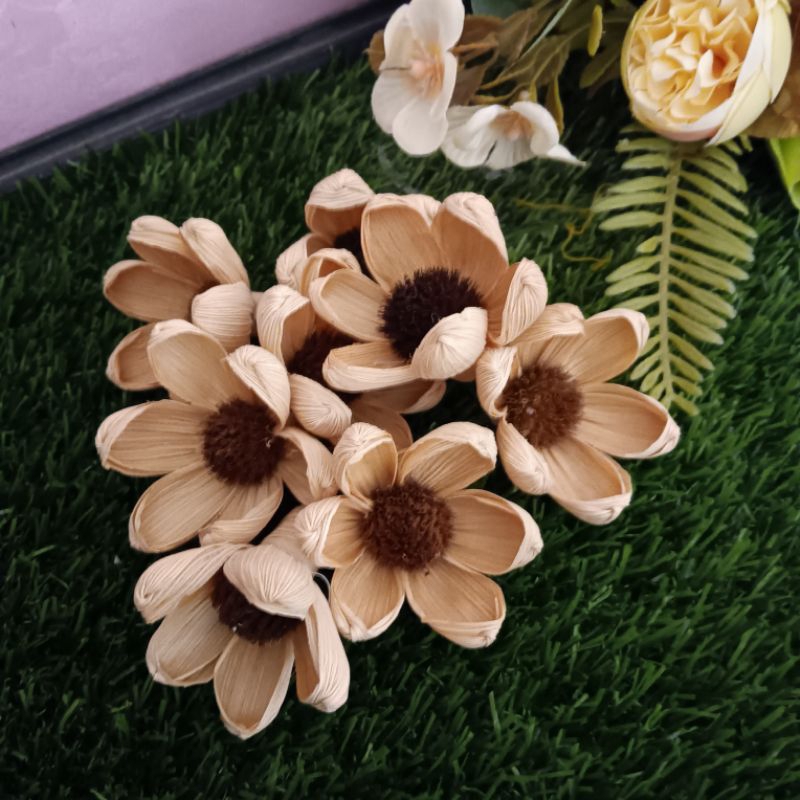 bunga klobot teratai rustick