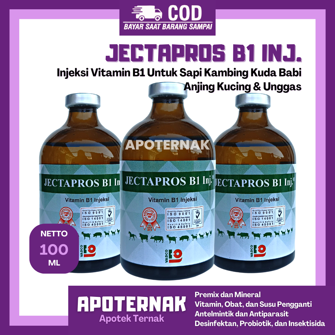 JECTAPROS B1 INJ 100 mL | Vitamin B1 Injeksi Untuk Hewan Sapi Kambing Domba dll | Like B1 Wonder