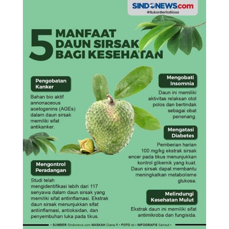 

daun sirsak/daun/sirsak