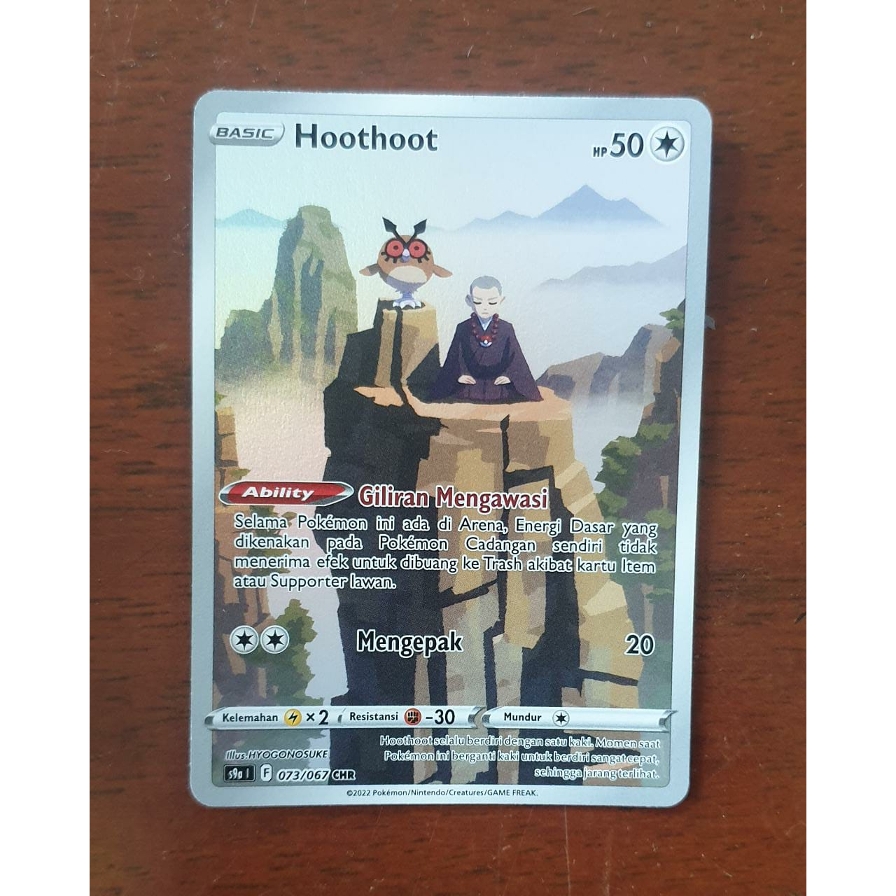 Hoothoot CHR pokemon TCG 073/067