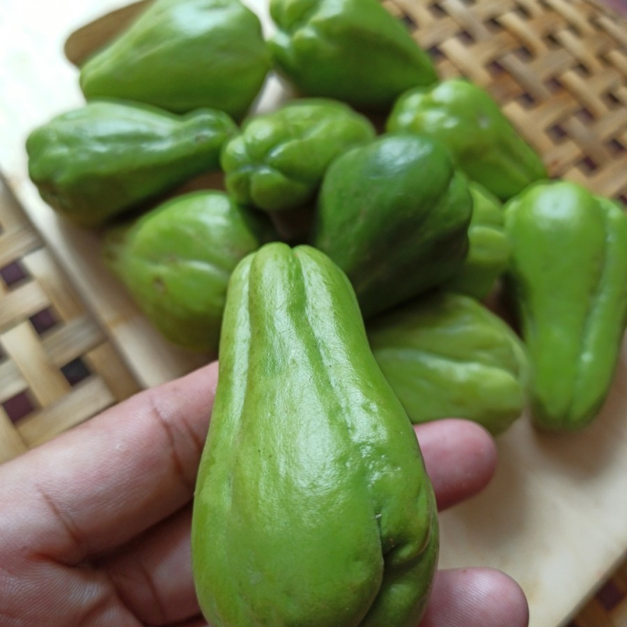 

Labu Siam Acar KECIL Small Choko Chayote 100 gr