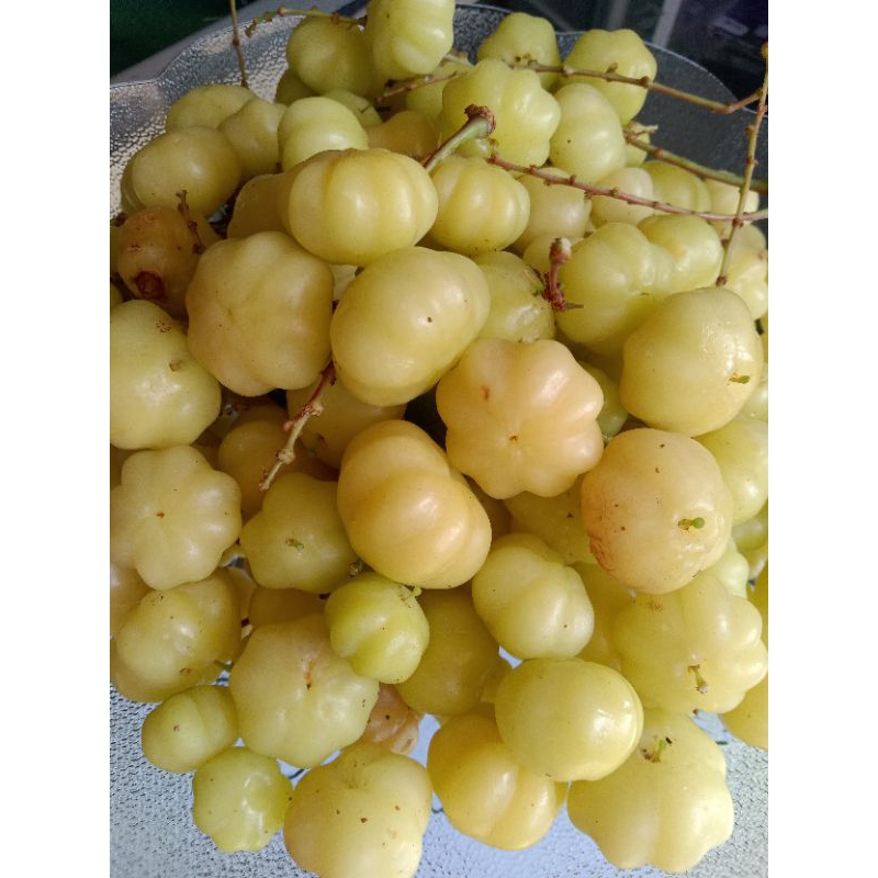 

buah ceremai segar 500gr