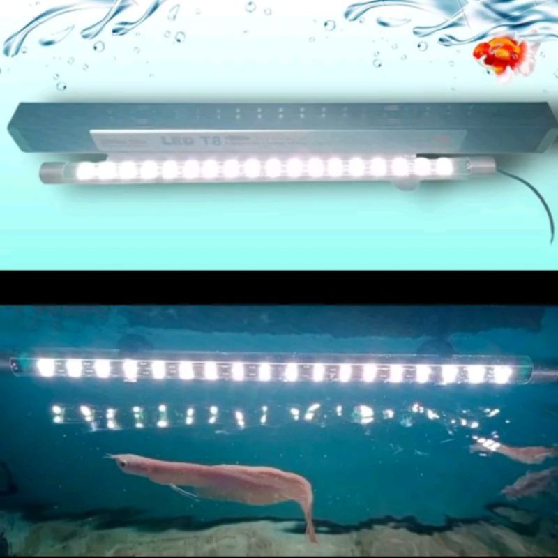 Lampu Led Tanning Aquarium Under Water Light Led NIKITA STAR Red Arowana T8 800