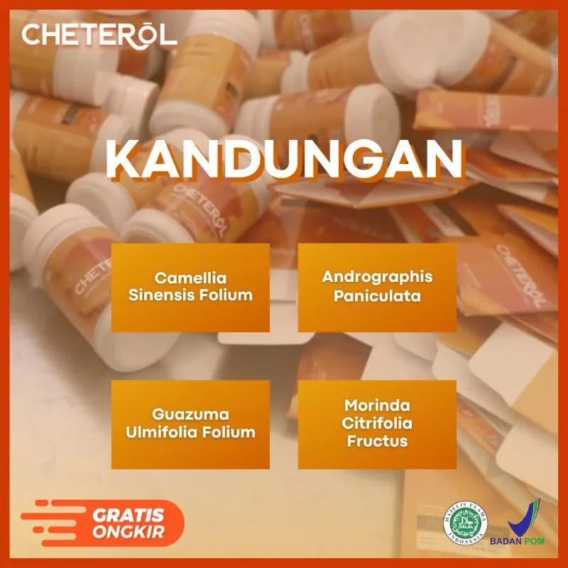 Cheterol Obat Herbal Paling Aman Untuk Kolesterol Hingga Menurunkan Hipertensi