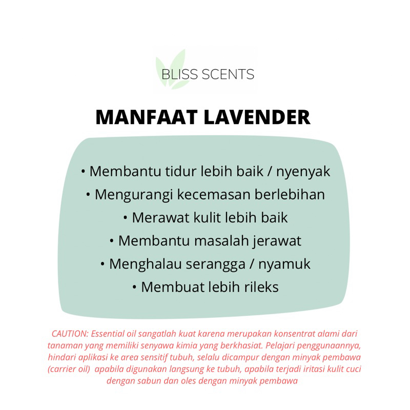 BLISS SCENTS Paket Lavender (Lavandin, Lavender, Bulgarian Lavender) Essential Oil 100% Murni