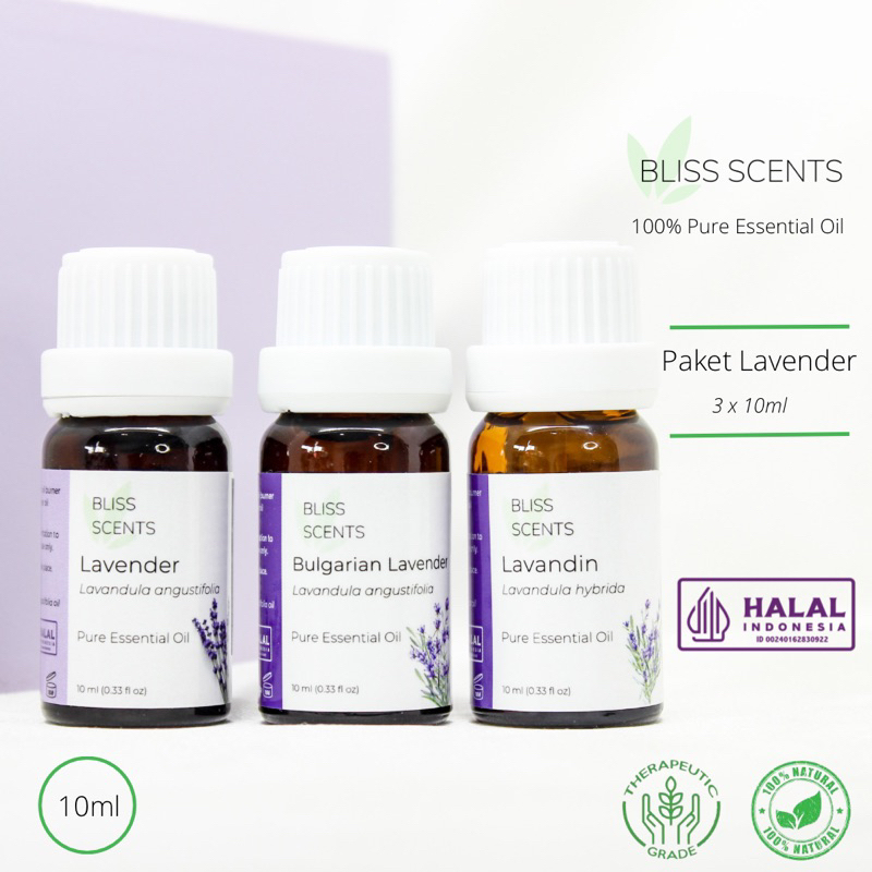 BLISS SCENTS Paket Lavender (Lavandin, Lavender, Bulgarian Lavender) Essential Oil 100% Murni