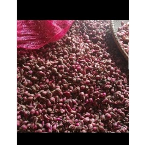 

bawang merah Brebes asli super 500 g ukuran besar super poll fresh premium kualitas baik