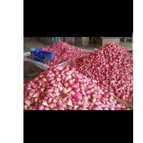 

bawang merah 500 gr