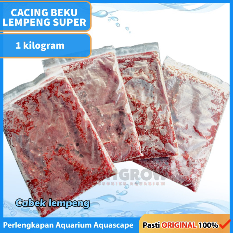 CABEK CACING BEKU CACING DARAH BLOODWORM LEMPENGAN 1KG MINIM AIR TERMURAH