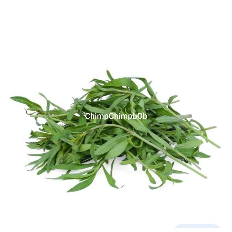

DAUN TARAGON SEGAR / TARRAGON FRESH HERB