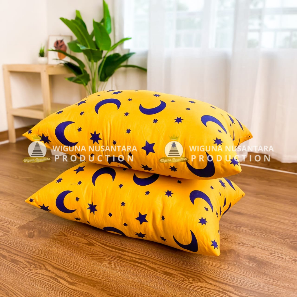 Paket 2 Bantal Tidur