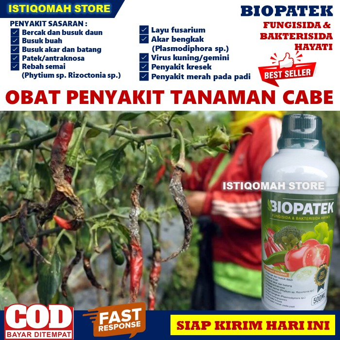 BIOPATEK 500ML Fungisida dan Bakterisida Hayati Obat Penyakit Bercak dan Busuk Daun, Busuk Buah, Busuk Akar dan Batang, Patek Antraknosa, Rebah Semai, Layu Fusarium, Akar Bengkak, Virus Kuning Gemini pada Tanaman Kacang Panjang Paling Manjur