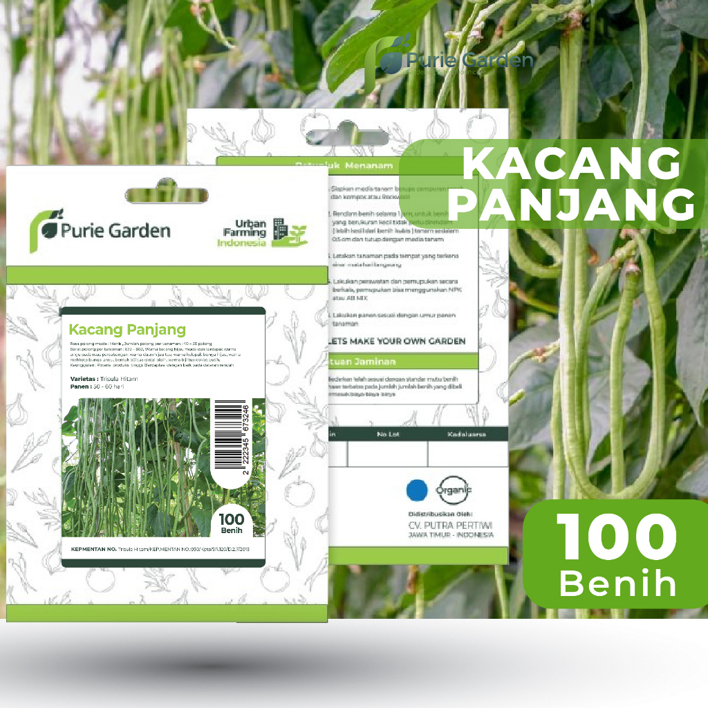 Bibit Benih Kacang Panjang Purie Garden 100 Benih PG SBY