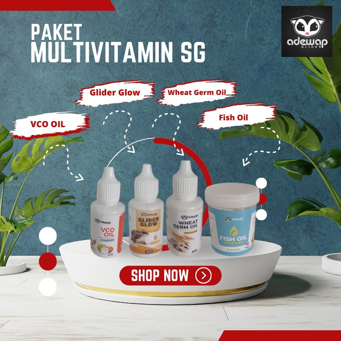 ADEWAP GLIDER Paket Multivitamin Sugar Glider : Vitamin A , Vitamin E & Omega 3