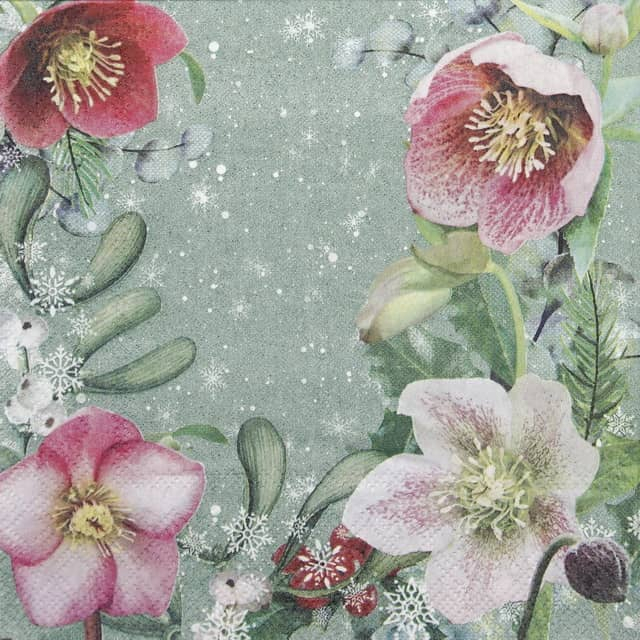 Helleborus Orientalis Green - Tisu / Napkin Decoupage Grosir