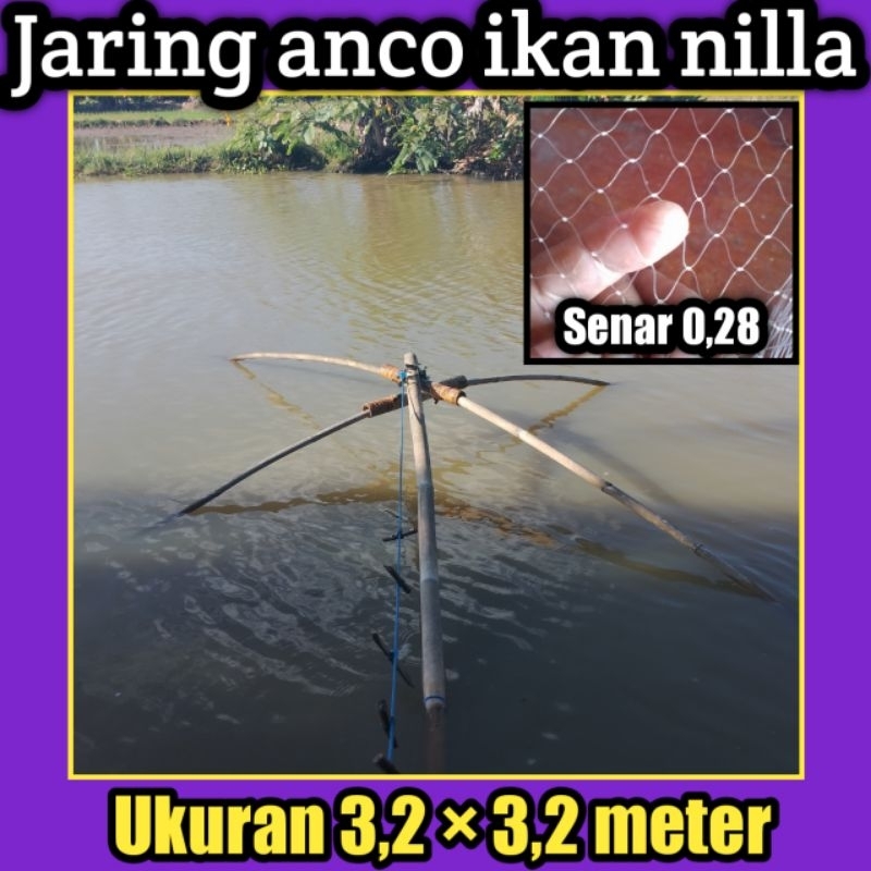 Hancau / jaring anco ikan nilla jumbo branjang ikan ukuran 3,2 meter persegi