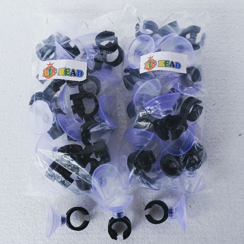 DOP PIPA AQUARIUM BIG HEAD cop pipa akuarium