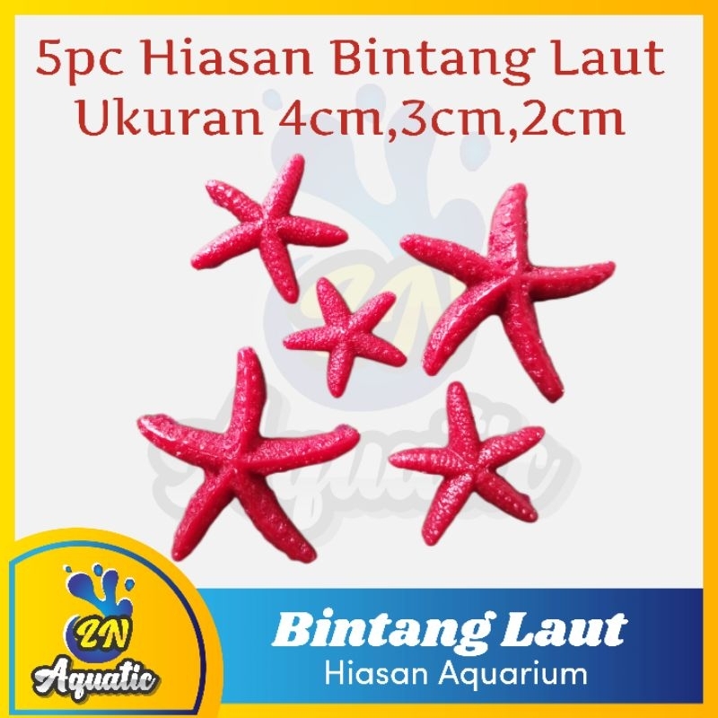 5 pc Hiasan Bintang Laut Miniatur Bintang Laut Murah Hiasan Aquarium Aquascape