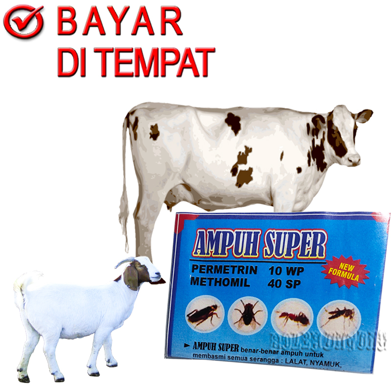 AMPUH SUPER OBAT BASMI KUTU SAPI KAMBING PARASIT CAPLAX TUNGAU PINJAL