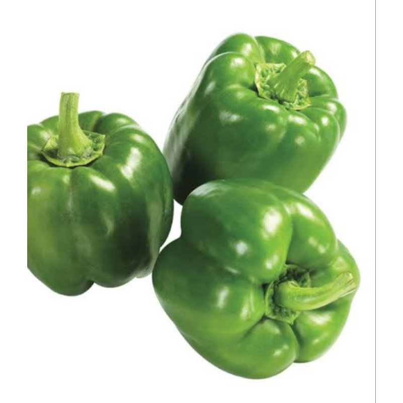 

paprika ijo 500gr