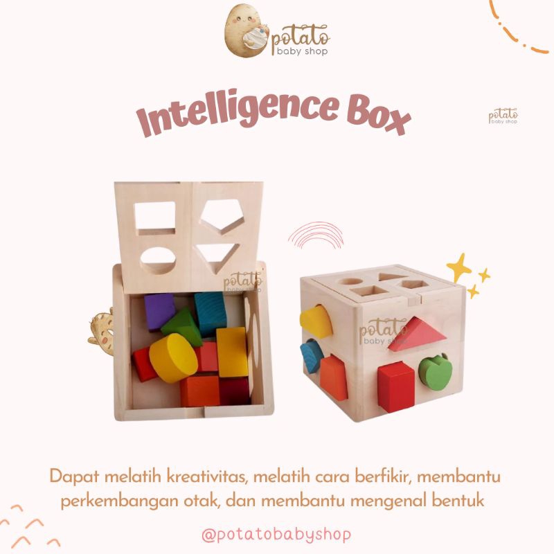 BT DDM08 Thirteen Hole Intelligence Box - Wooden Shape Mainan Box Puzzle - Wooden
