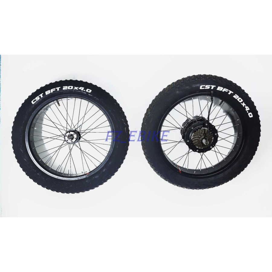 Rims Set D/B Hub Planetary 500Watt 48Volt + Rims 20Inch x 4.0 FatBike