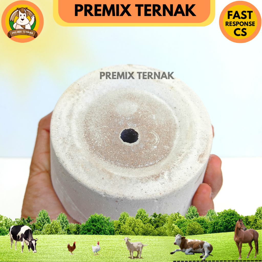 Mineral Blok 500 gr - Mineral Blok Kambing - Mineral Blok Sapi - Mineral Blok Domba - Mineral Blok Ternak - Master Blok 500 gram