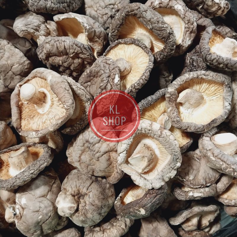 

Jamur Shitake Hioko Kering 100 Gram