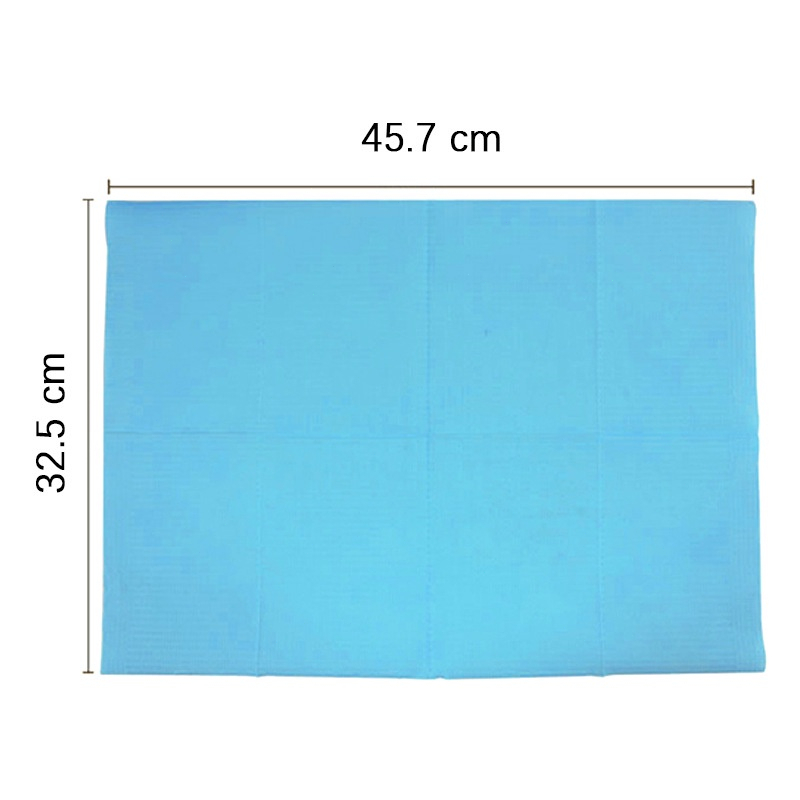 Disposable Bed Sheet 10Pcs Alas Kasur Facial Salon/tatto