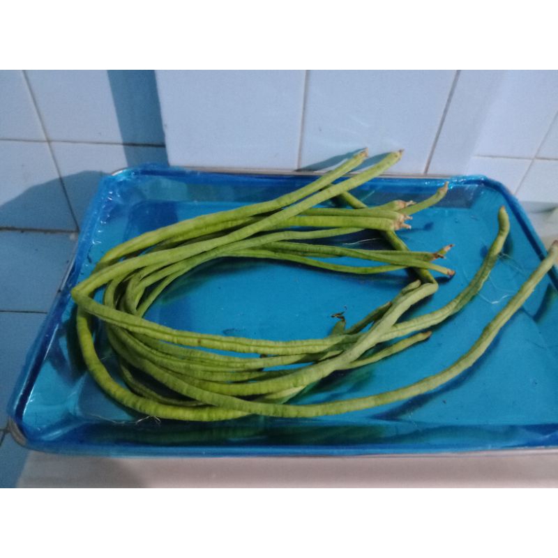 

Kacang Panjang Per Ikat