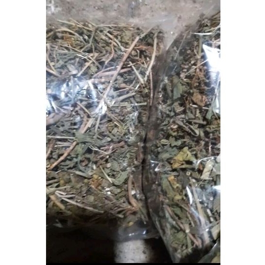 

Daun kirinyuh kering 100 gram original , herbal daun balakacida , daun kirinyuh
