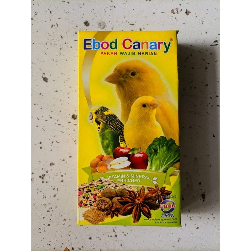 EBOD CANARY PAKAN KENARI EBOD KENARI