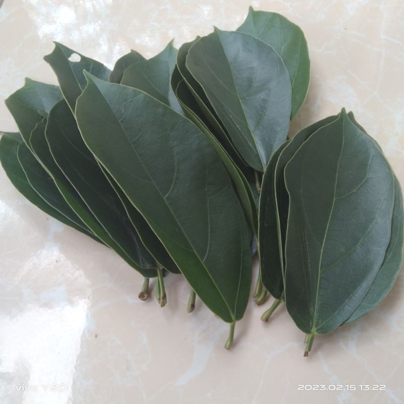 

Daun Cincau Hijau Segar Per 500 Gram